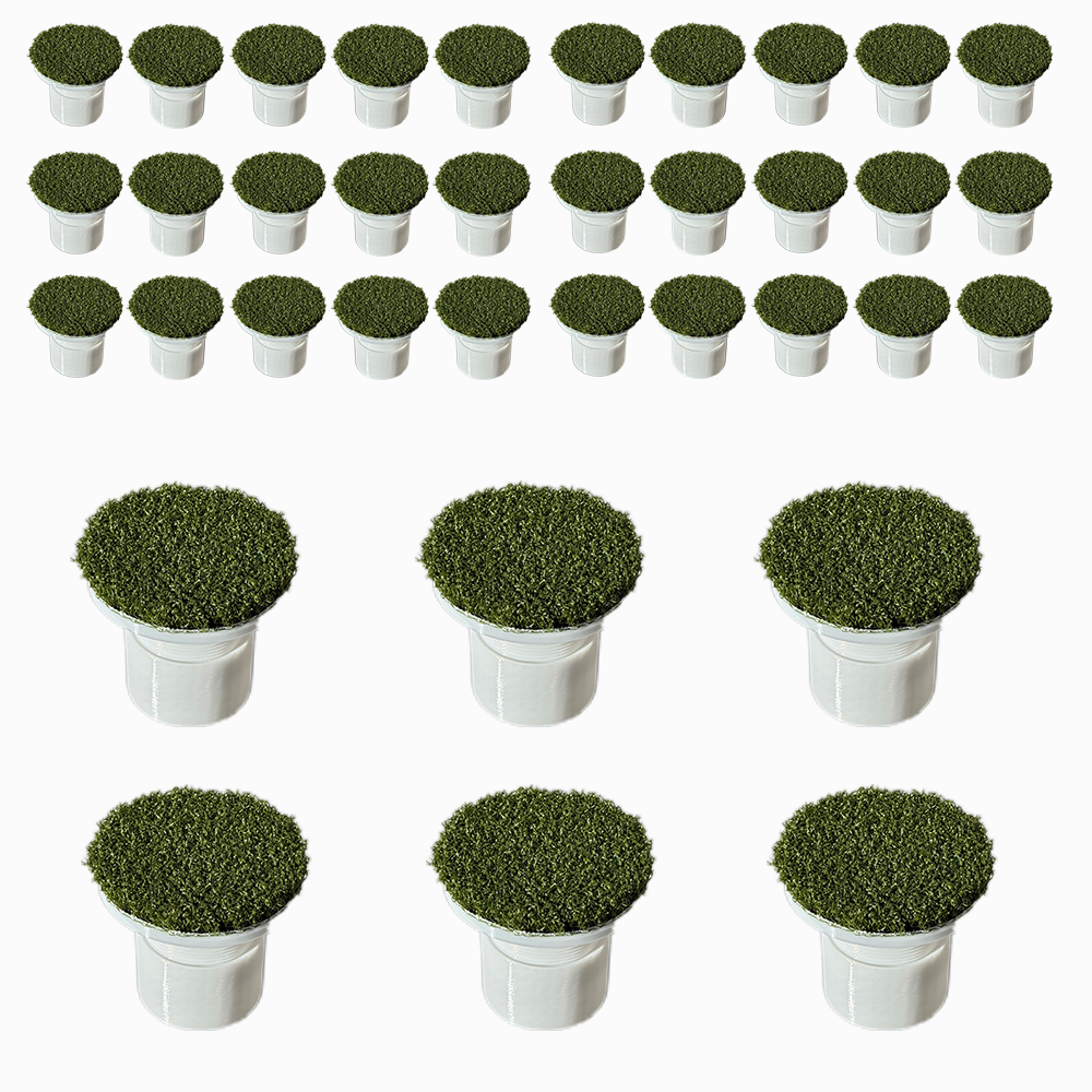 36 Adjustable Golf Cup Inserts With SYNLawn Standard Precision Putt
